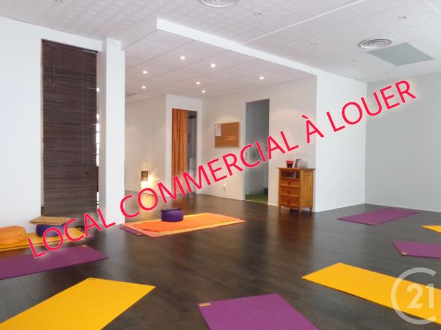 Afficher la photo en grand Appartement à louer - 3 pièces - 105.0 m2 - ST DIE DES VOSGES - 88 - LORRAINE - Century 21 Céline Jacques Immobilier