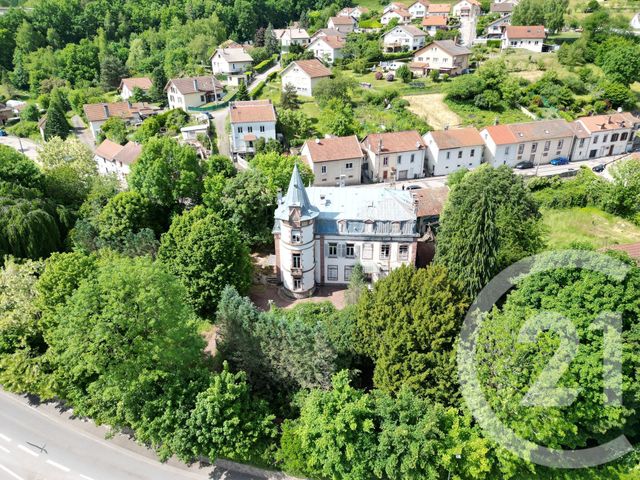 maison à vendre - 19 pièces - 525.0 m2 - MOYENMOUTIER - 88 - LORRAINE - Century 21 Céline Jacques Immobilier