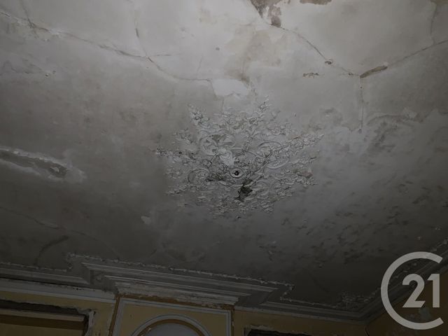 maison à vendre - 19 pièces - 525.0 m2 - MOYENMOUTIER - 88 - LORRAINE - Century 21 Céline Jacques Immobilier