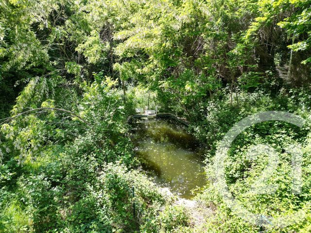 maison à vendre - 19 pièces - 525.0 m2 - MOYENMOUTIER - 88 - LORRAINE - Century 21 Céline Jacques Immobilier