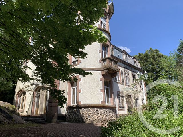 maison à vendre - 19 pièces - 525.0 m2 - MOYENMOUTIER - 88 - LORRAINE - Century 21 Céline Jacques Immobilier