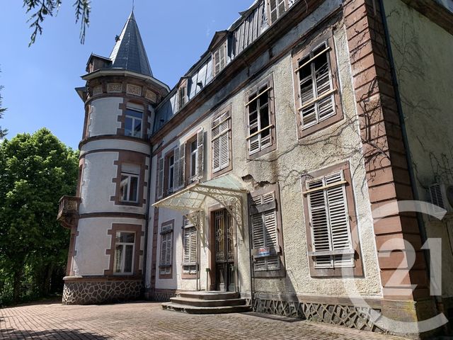 maison à vendre - 19 pièces - 525.0 m2 - MOYENMOUTIER - 88 - LORRAINE - Century 21 Céline Jacques Immobilier