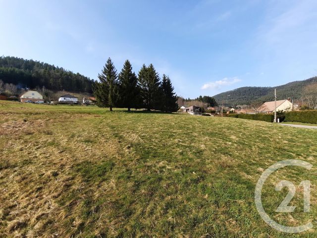 terrain - SAALES - 67