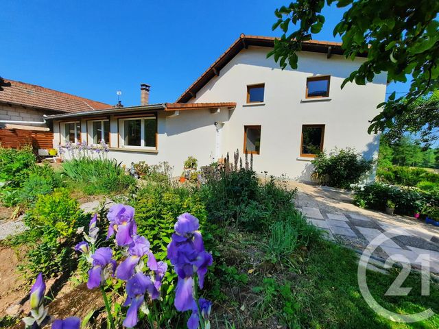 maison - ST MICHEL SUR MEURTHE - 88