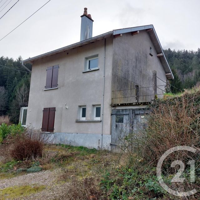 maison - TAINTRUX - 88