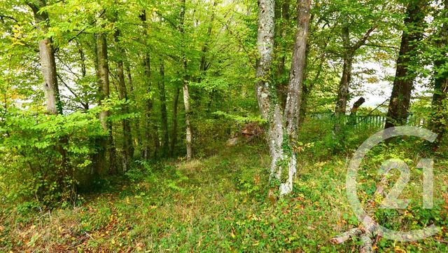 terrain - ST DIE DES VOSGES - 88