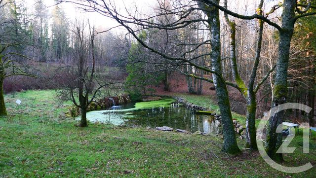 appartement - GRANDFONTAINE - 67