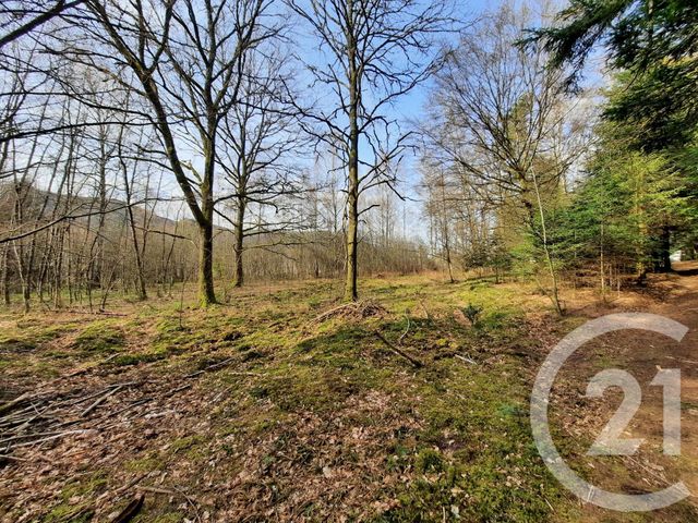 terrain - ST DIE DES VOSGES - 88
