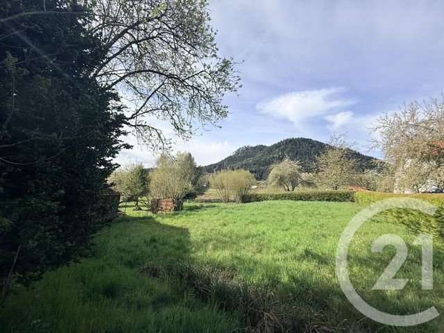 maison à vendre - 5 pièces - 140.55 m2 - TAINTRUX - 88 - LORRAINE - Century 21 Céline Jacques Immobilier