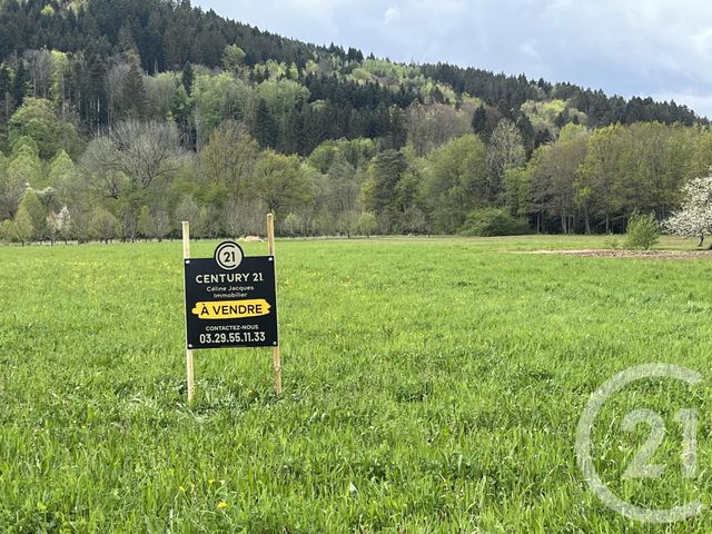 terrain à vendre - 2592.0 m2 - ANOULD - 88 - LORRAINE - Century 21 Céline Jacques Immobilier