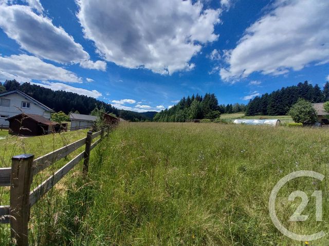terrain à vendre - 2800.0 m2 - PROVENCHERES ET COLROY - 88 - LORRAINE - Century 21 Céline Jacques Immobilier