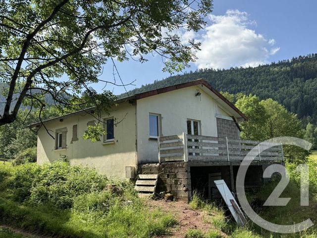 maison - LUVIGNY - 88