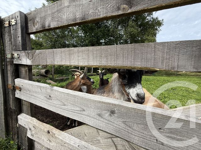 maison à vendre - 4 pièces - 74.44 m2 - LA BOURGONCE - 88 - LORRAINE - Century 21 Céline Jacques Immobilier