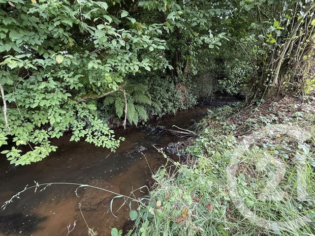 maison à vendre - 4 pièces - 74.44 m2 - LA BOURGONCE - 88 - LORRAINE - Century 21 Céline Jacques Immobilier