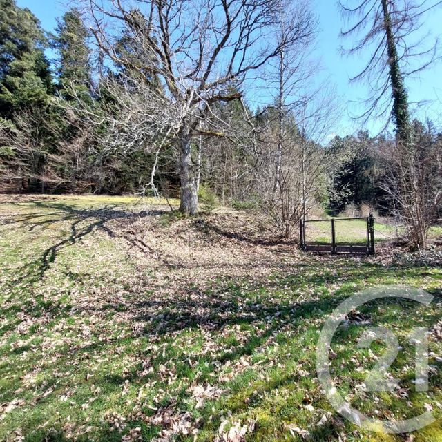 maison à vendre - 24 pièces - 985.34 m2 - COMBRIMONT - 88 - LORRAINE - Century 21 Céline Jacques Immobilier