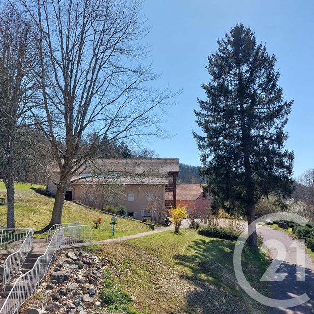 maison à vendre - 24 pièces - 985.34 m2 - COMBRIMONT - 88 - LORRAINE - Century 21 Céline Jacques Immobilier