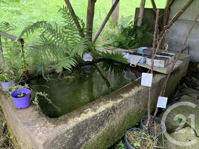 Afficher la photo en grand maison à vendre - 5 pièces - 124.0 m2 - TAINTRUX - 88 - LORRAINE - Century 21 Céline Jacques Immobilier