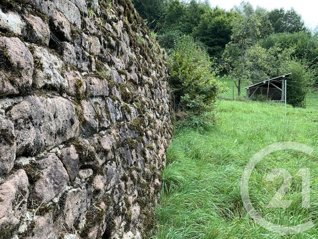 Afficher la photo en grand maison à vendre - 5 pièces - 124.0 m2 - TAINTRUX - 88 - LORRAINE - Century 21 Céline Jacques Immobilier