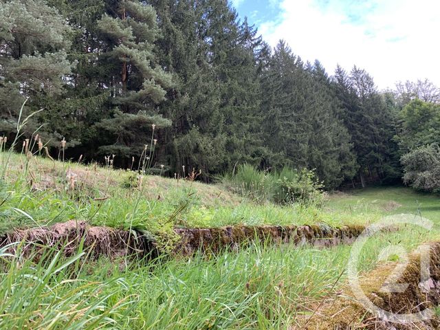 Afficher la photo en grand maison à vendre - 5 pièces - 124.0 m2 - TAINTRUX - 88 - LORRAINE - Century 21 Céline Jacques Immobilier