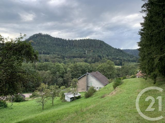 maison - TAINTRUX - 88