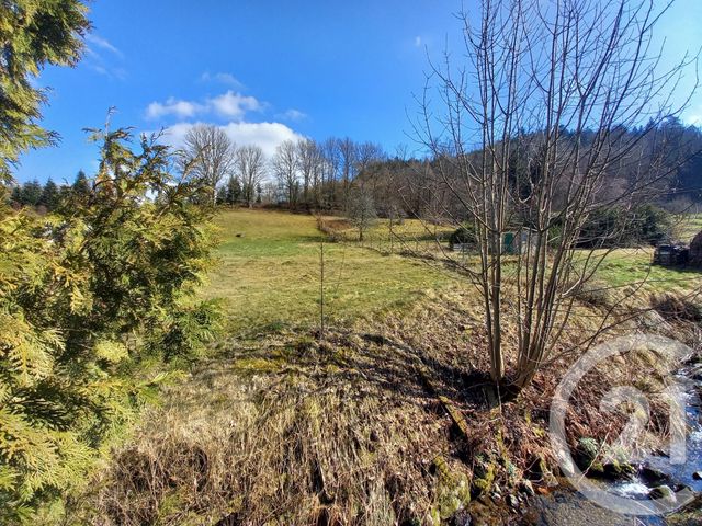 maison à vendre - 8 pièces - 126.2 m2 - LUBINE - 88 - LORRAINE - Century 21 Céline Jacques Immobilier