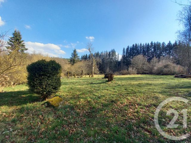 maison à vendre - 9 pièces - 243.0 m2 - TAINTRUX - 88 - LORRAINE - Century 21 Céline Jacques Immobilier