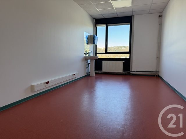 Appartement à louer - 6 pièces - 250.0 m2 - ST DIE DES VOSGES - 88 - LORRAINE - Century 21 Céline Jacques Immobilier