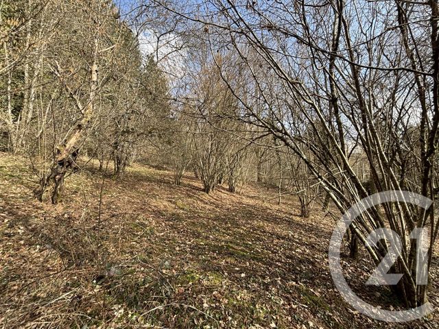 maison à vendre - 3 pièces - 66.87 m2 - LE SAULCY - 88 - LORRAINE - Century 21 Céline Jacques Immobilier