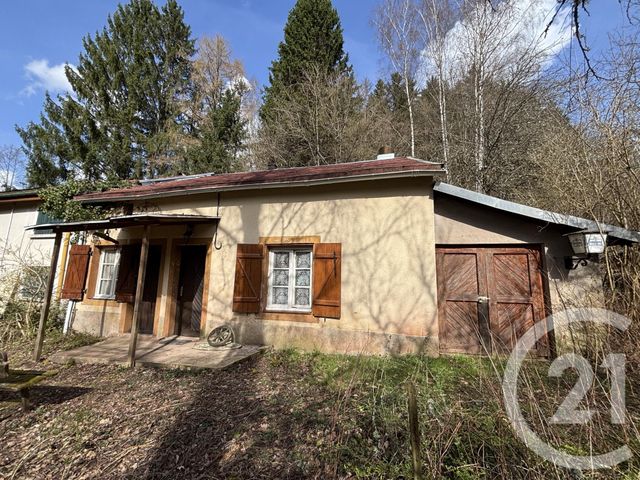 maison - LE SAULCY - 88