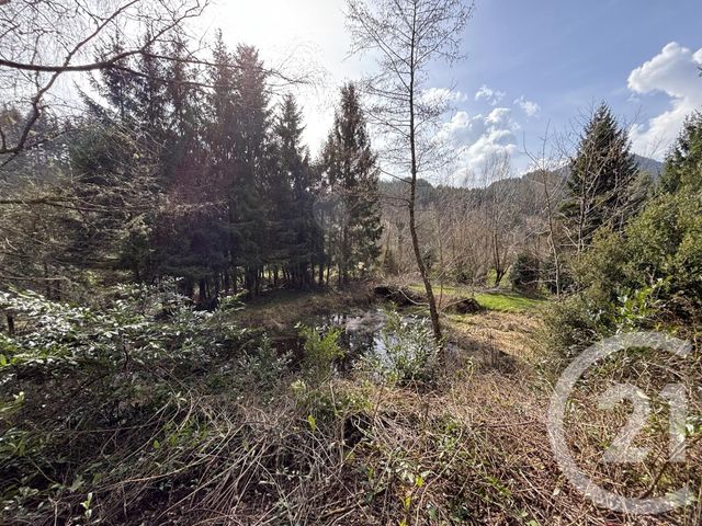 maison à vendre - 3 pièces - 66.87 m2 - LE SAULCY - 88 - LORRAINE - Century 21 Céline Jacques Immobilier