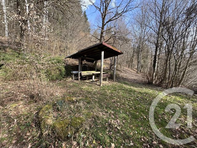 maison à vendre - 3 pièces - 66.87 m2 - LE SAULCY - 88 - LORRAINE - Century 21 Céline Jacques Immobilier