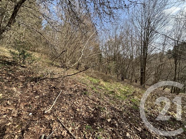 maison à vendre - 3 pièces - 66.87 m2 - LE SAULCY - 88 - LORRAINE - Century 21 Céline Jacques Immobilier