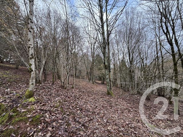 maison à vendre - 3 pièces - 66.87 m2 - LE SAULCY - 88 - LORRAINE - Century 21 Céline Jacques Immobilier