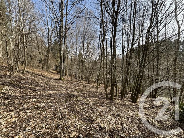 maison à vendre - 3 pièces - 66.87 m2 - LE SAULCY - 88 - LORRAINE - Century 21 Céline Jacques Immobilier