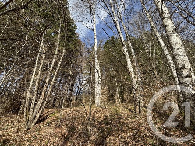 maison à vendre - 3 pièces - 66.87 m2 - LE SAULCY - 88 - LORRAINE - Century 21 Céline Jacques Immobilier