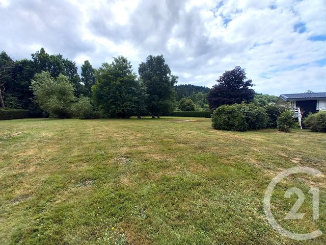 maison à vendre - 5 pièces - 162.22 m2 - ST LEONARD - 88 - LORRAINE - Century 21 Céline Jacques Immobilier