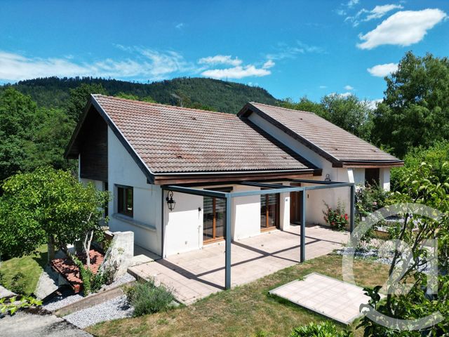 maison - ST DIE DES VOSGES - 88