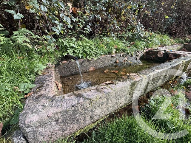 maison à vendre - 3 pièces - 81.0 m2 - LA CROIX AUX MINES - 88 - LORRAINE - Century 21 Céline Jacques Immobilier