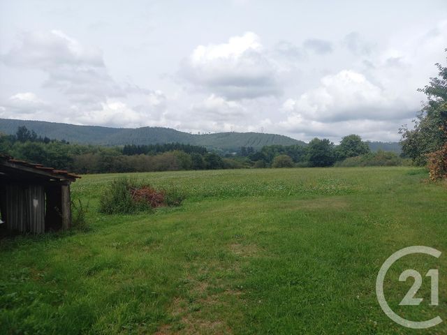 maison à vendre - 3 pièces - 60.0 m2 - LA CHAPELLE DEVANT BRUYERES - 88 - LORRAINE - Century 21 Céline Jacques Immobilier