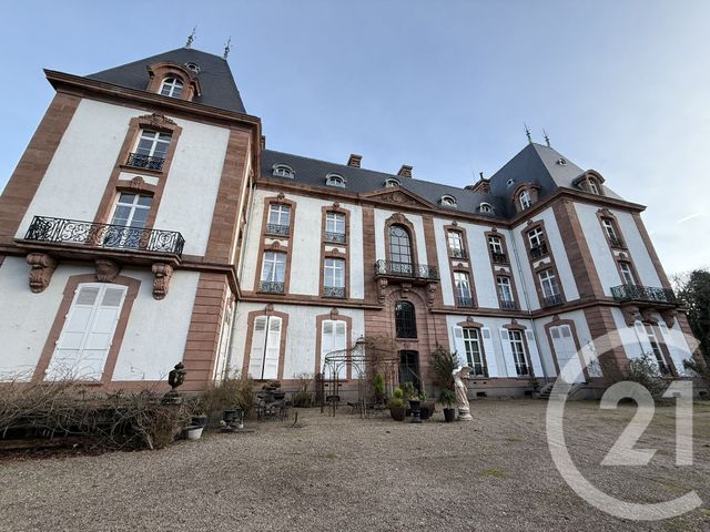 Appartement F8 à vendre - 8 pièces - 362.9 m2 - ST DIE DES VOSGES - 88 - LORRAINE - Century 21 Céline Jacques Immobilier