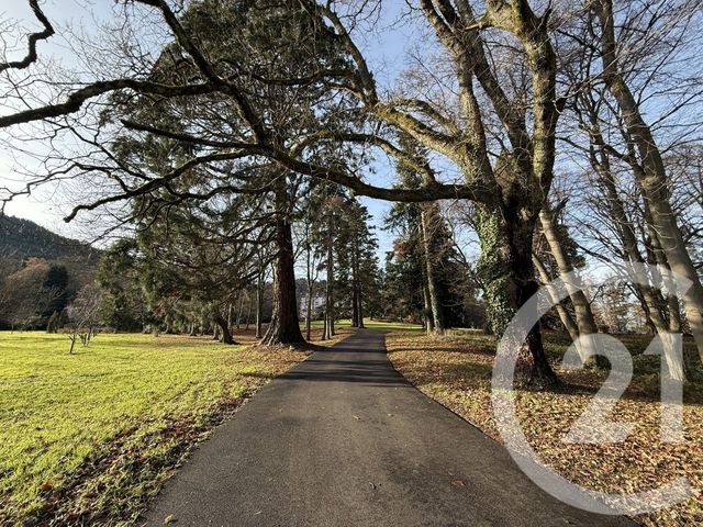 Appartement F8 à vendre - 8 pièces - 362.9 m2 - ST DIE DES VOSGES - 88 - LORRAINE - Century 21 Céline Jacques Immobilier