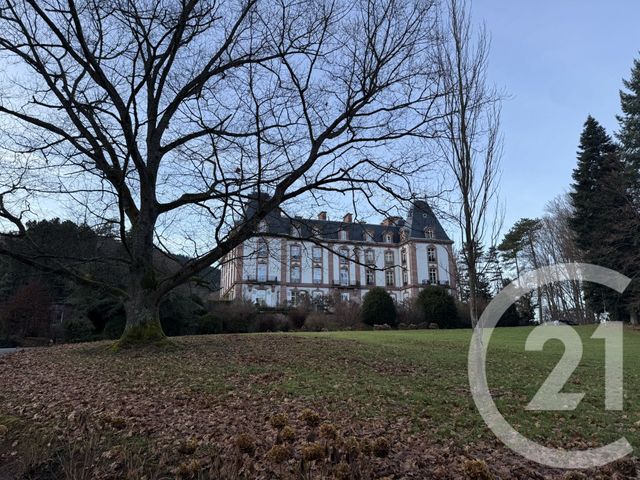 Appartement F8 à vendre - 8 pièces - 362.9 m2 - ST DIE DES VOSGES - 88 - LORRAINE - Century 21 Céline Jacques Immobilier