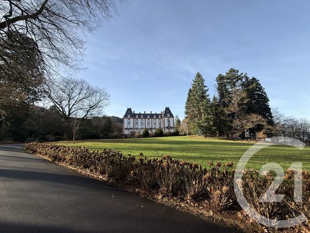 Appartement F8 à vendre - 8 pièces - 362.9 m2 - ST DIE DES VOSGES - 88 - LORRAINE - Century 21 Céline Jacques Immobilier