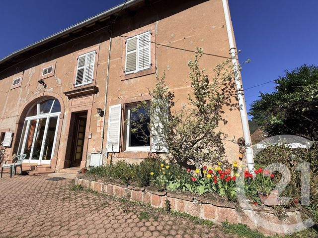 maison - ST DIE DES VOSGES - 88