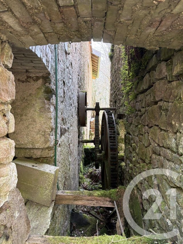 maison à vendre - 12 pièces - 925.43 m2 - BAN DE SAPT - 88 - LORRAINE - Century 21 Céline Jacques Immobilier