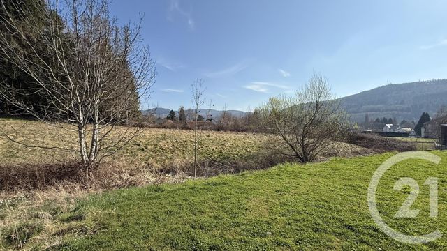 terrain - FRAIZE - 88