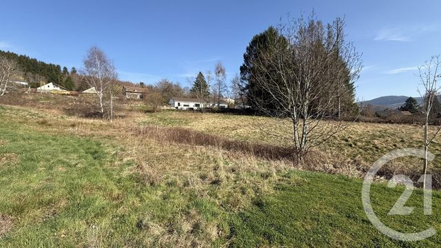terrain à vendre - 3765.0 m2 - FRAIZE - 88 - LORRAINE - Century 21 Céline Jacques Immobilier