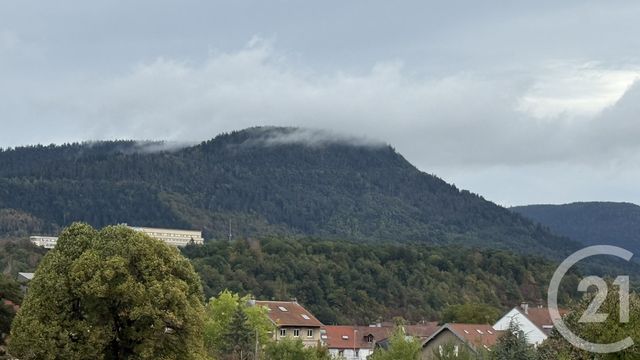 Appartement F3 à vendre - 3 pièces - 60.5 m2 - ST DIE DES VOSGES - 88 - LORRAINE - Century 21 Céline Jacques Immobilier