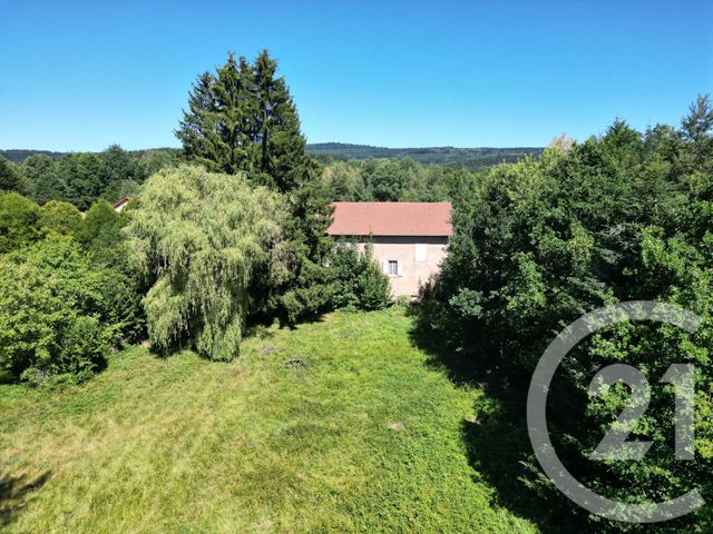 maison - PROVENCHERES ET COLROY - 88