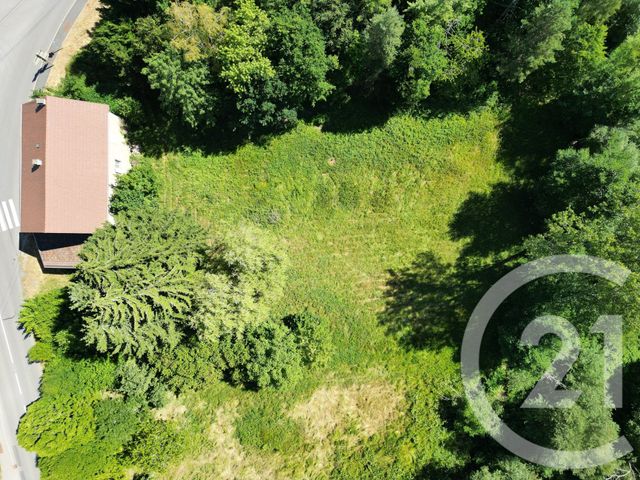 maison à vendre - 4 pièces - 135.0 m2 - PROVENCHERES ET COLROY - 88 - LORRAINE - Century 21 Céline Jacques Immobilier